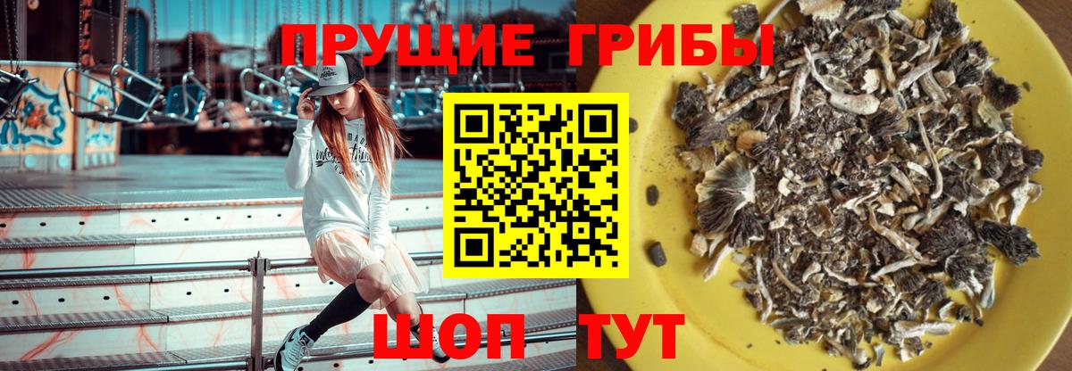 Галлюциногенные грибы ЛСД Люберцы