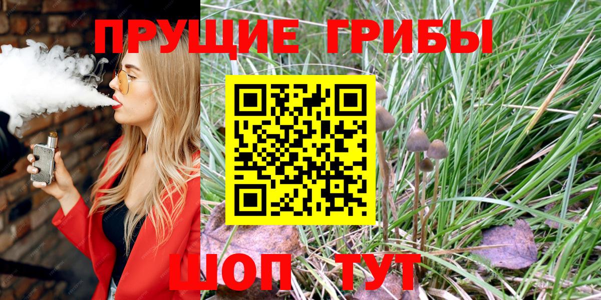 купить   Галлюциногенные грибы Psilocybine cubensis  Вход с VPN  Галлюциногенные грибы Magic Shrooms  Люберцы 